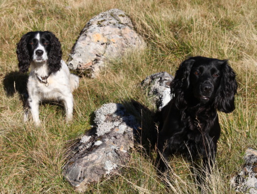 Archie and Tiffin Slinger