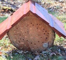bughotel1-300x200