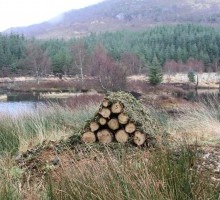 bughotel4-300x200